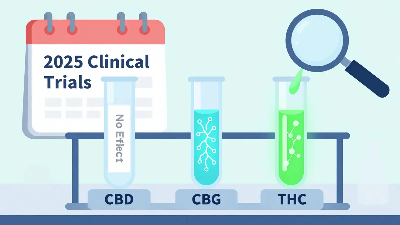 Three test tubes labeled CBD, THC, and CBG in a lab, with CBG glowing and silencing a pain protein.